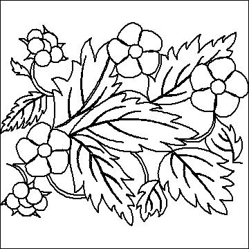 (image for) Raspberry Flowers-L01008